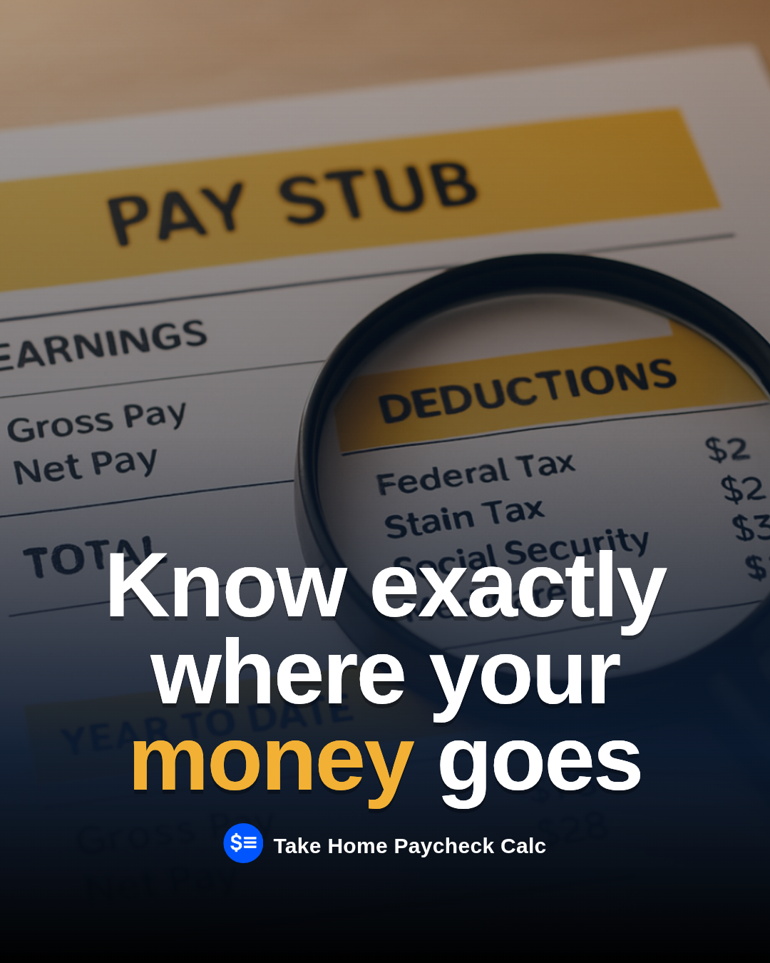 Pay Stub